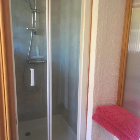 Le Chant Des Oiseaux *