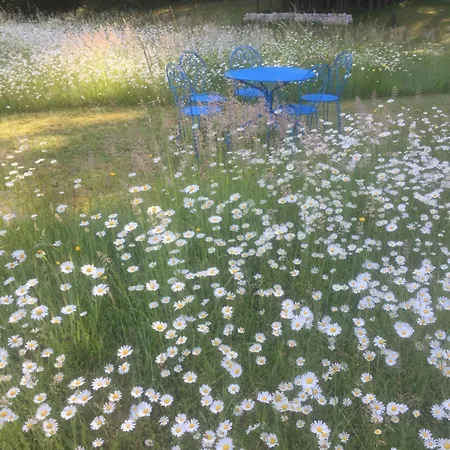 Le Chant Des Oiseaux Сasa de vacaciones