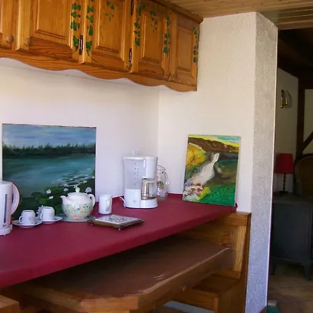 Le Chant Des Oiseaux