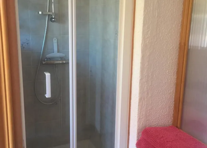 Le Chant Des Oiseaux *