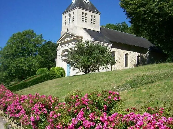 Le Chant Des Oiseaux